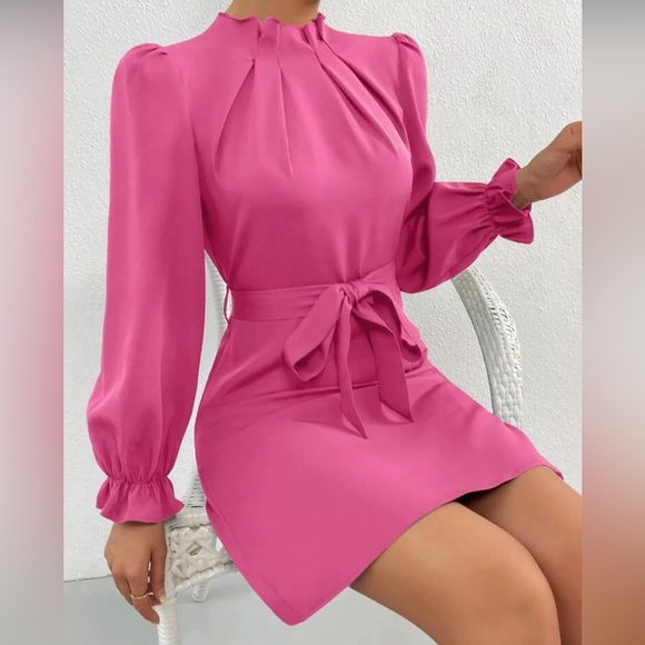 NWOTW FLOUNCE Sleeve Mock Neck Belted Dress Size 4 small - Picture 5 of 5